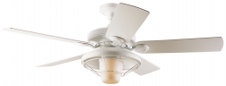 Hunter ceiling fan Outdoor white with light