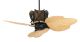 Fanimation ventilateur de plafond MALAWI