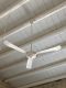 Ventilatore LA MERIDIANA DC bianco